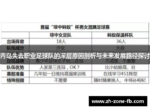 青岛失去职业足球队的深层原因剖析与未来发展路径探讨